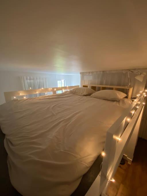 Appartement De Charme Pres Du Stade De France Saint-Denis  Extérieur photo